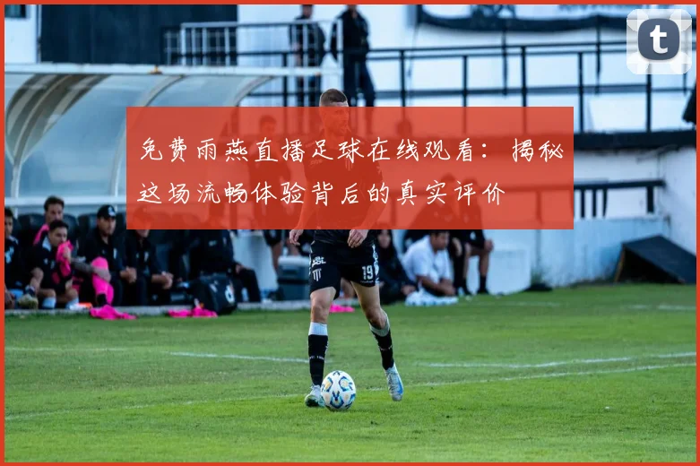 免费雨燕直播足球在线观看：揭秘这场流畅体验背后的真实评价
