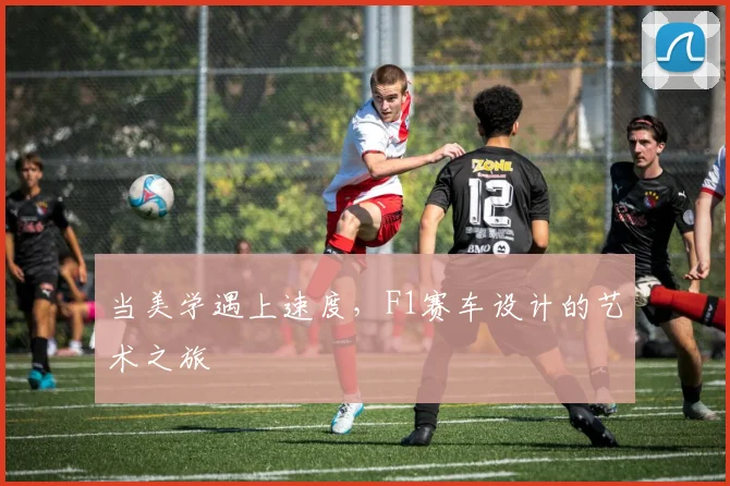 当美学遇上速度，F1赛车设计的艺术之旅
